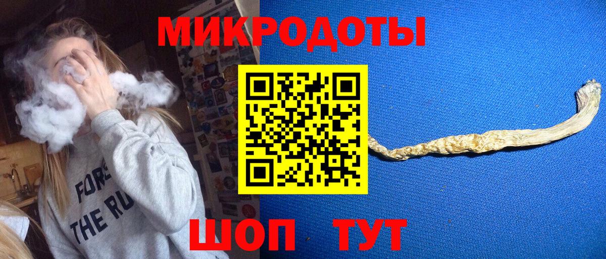Ревда  Псилоцибиновые грибы Cubensis  Вход с VPN 