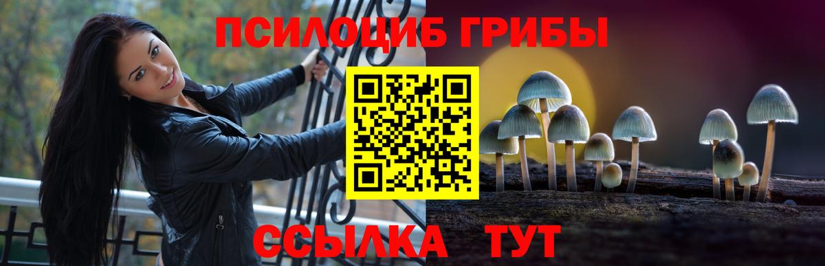 Галлюциногенные грибы прущие грибы Ревда