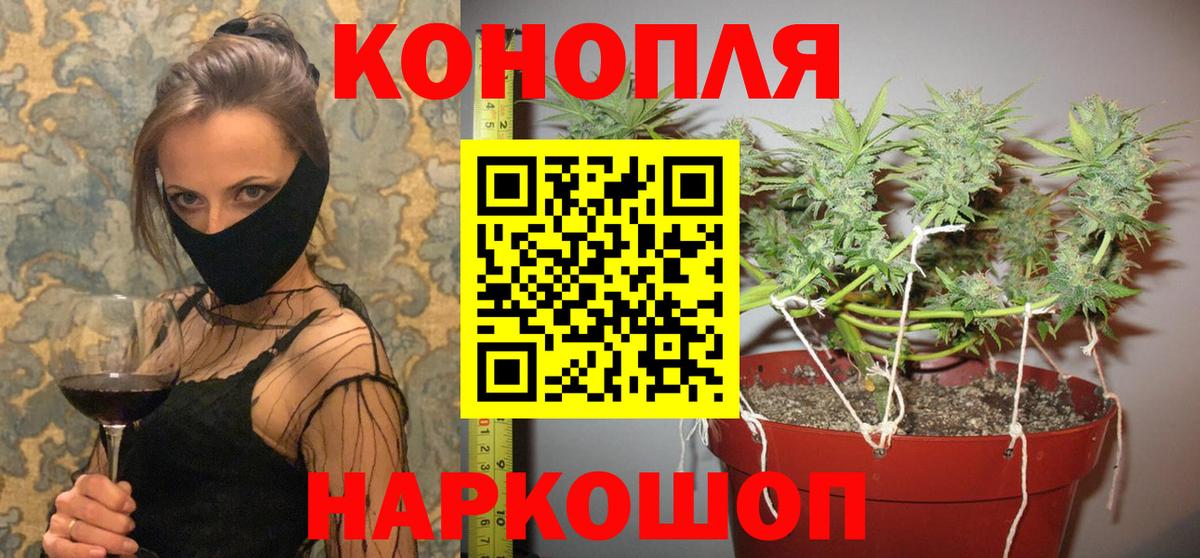 Бошки Шишки план  Марихуана гибрид  Вход с VPN  Марихуана SATIVA & INDICA  Ревда  Бошки Шишки конопля 